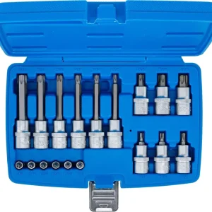 Zástrčné hlavice 1/4" a 1/2" Torx s otvorem T10 ÷ T60 BGS105174 (Sada 18 dílů) (BGS105174) Top Prodej