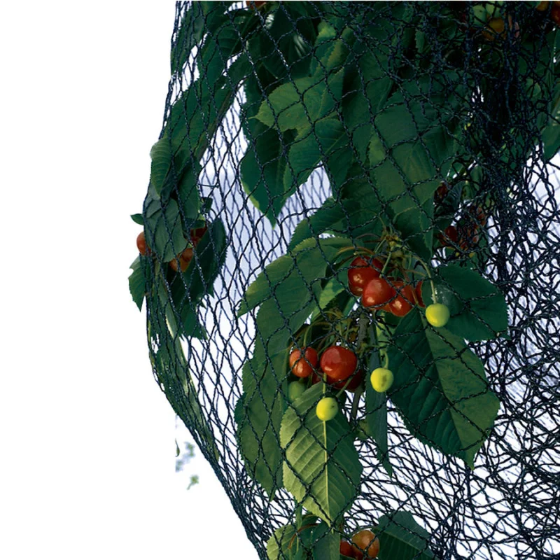 Aquaseed Síť proti ptákům BIRDNET 4x5 m Levný