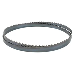 Akční Nabídka IGM Carbon FORCE HOOK Pilový pás 2630mm - 19 x 0,8mm 2TPi